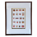 Terracotta Collected