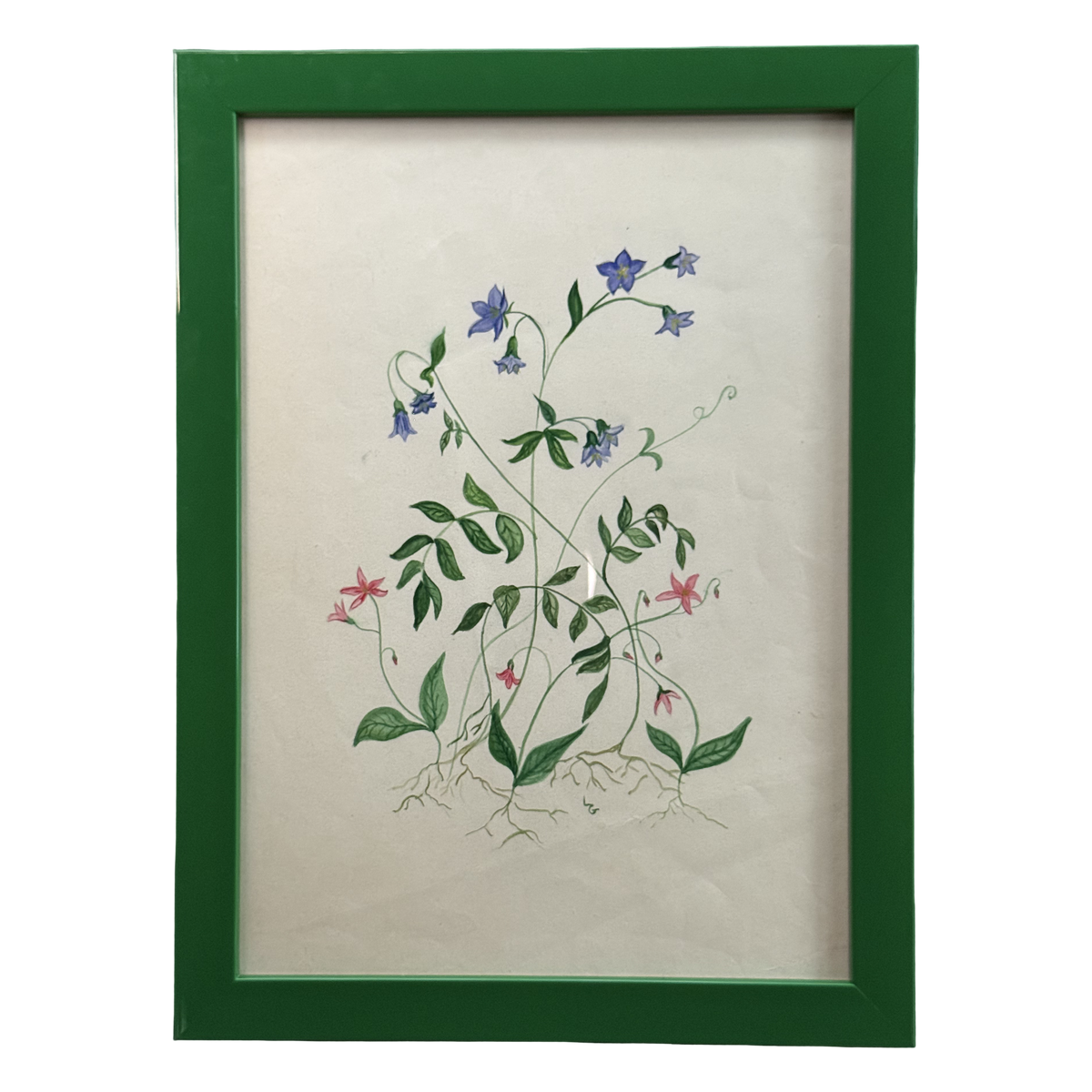 Green with Whimsy
