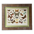 Fluttering