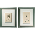 Itsy Bitsy Botanicals - Set of 2
