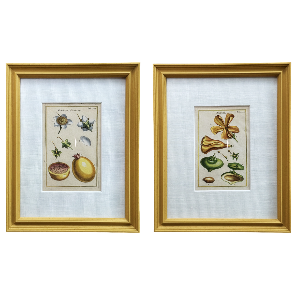 Golden Girls - Set of 2